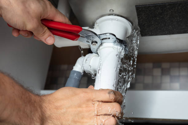 Best Carpet water damage restoration  in Blakely, GA