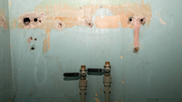 Best Water damage contractors near me  in Blakely, GA