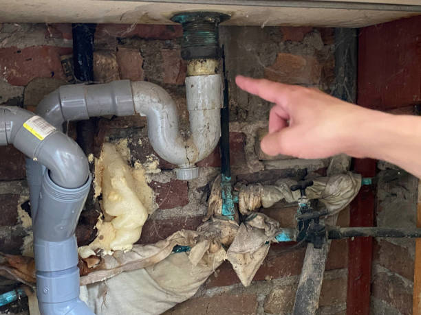 Best Water damage cleanup near me  in Blakely, GA