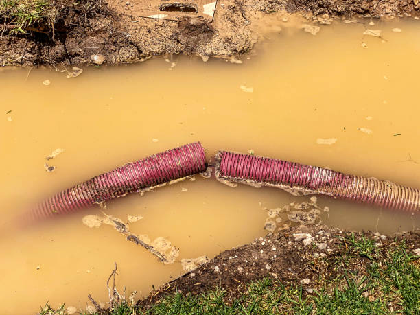 Best Professional water damage repair  in Blakely, GA