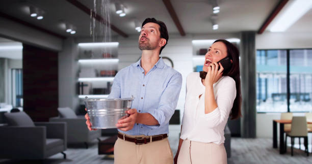 Best Professional water damage repair  in Blakely, GA